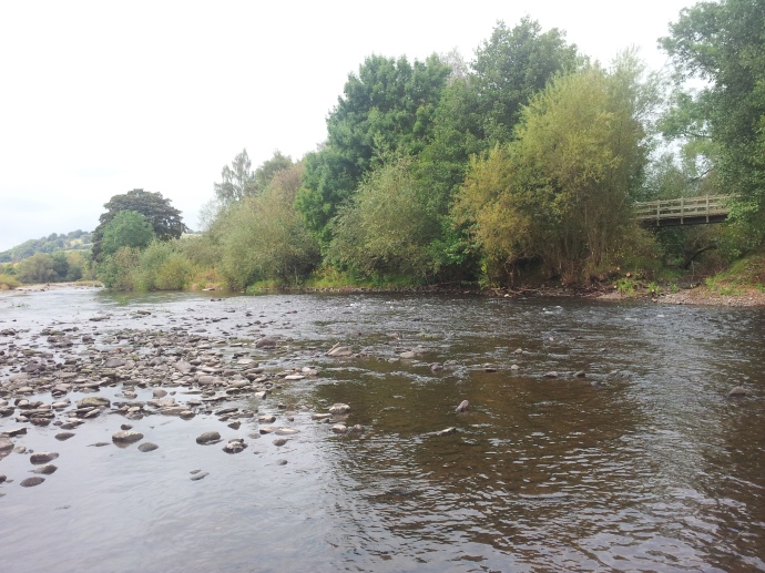 River Usk Trout Fishing