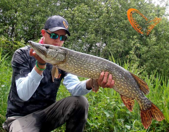 savage gear spinning guide hybrid pike